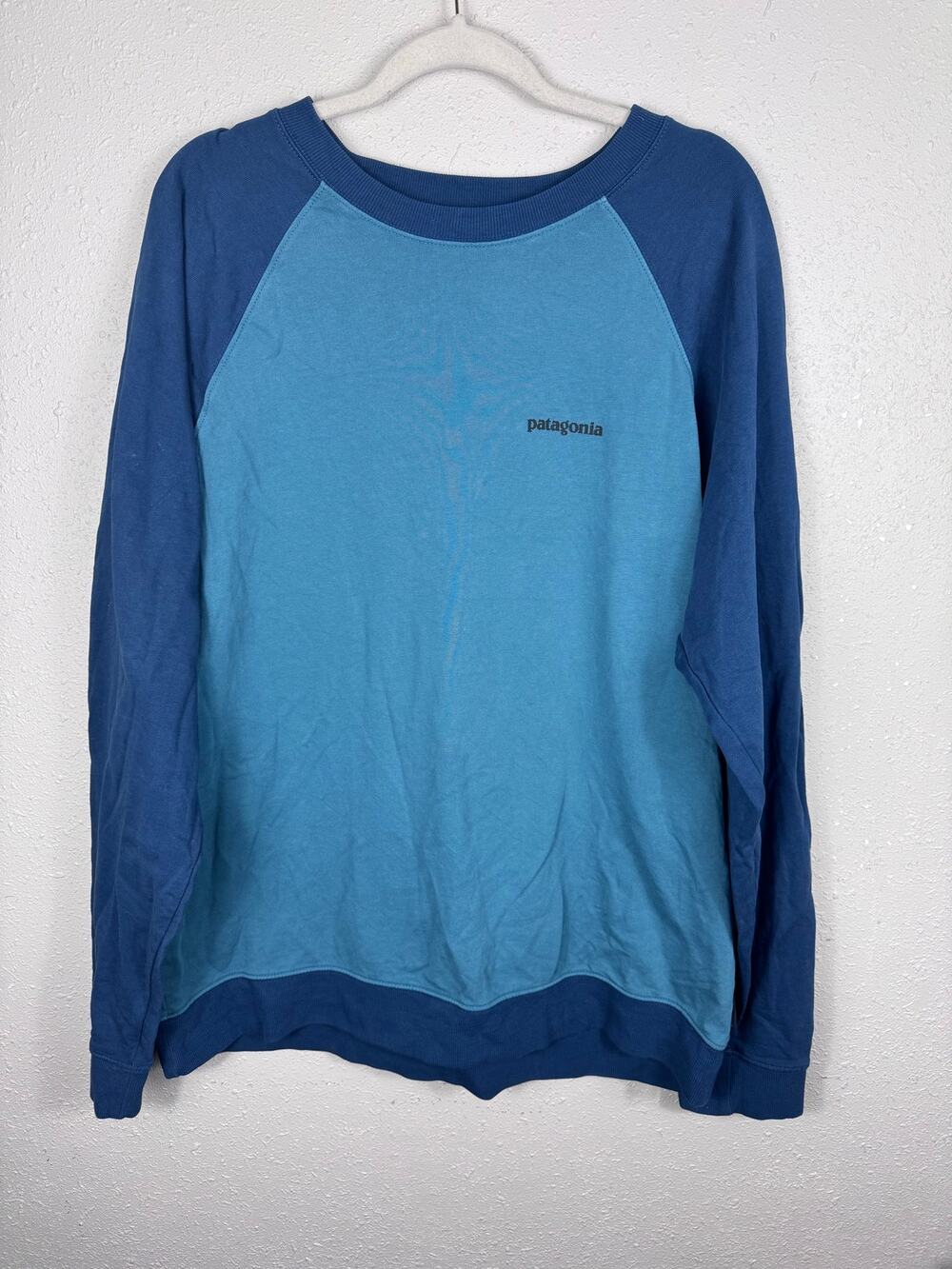 Patagonia Men’s Two toned Blue Organic Cotton  Crewneck size XL